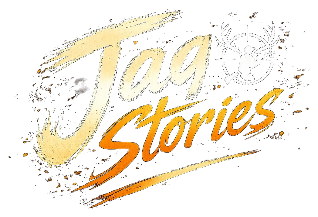 Jag Stories